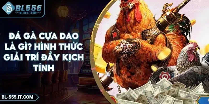 Đá Gà Cựa Dao Là Gì? Hình Thức Giải Trí Đầy Kịch Tính 1 Đá Gà Cựa Dao Là Gì? Hình Thức Giải Trí Đầy Kịch Tính