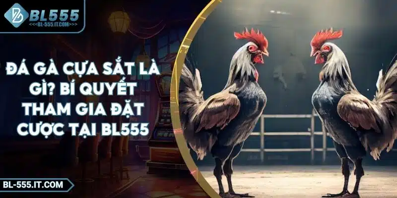 Đá Gà Cựa Sắt Là Gì? Bí Quyết Tham Gia Đặt Cược Tại BL555 1 Đá Gà Cựa Sắt Là Gì? Bí Quyết Tham Gia Đặt Cược Tại BL555