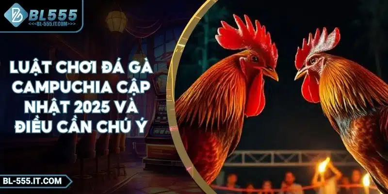 Luật Chơi Đá Gà Campuchia Cập Nhật 2025 Và Điều Cần Chú Ý 1 Luật Chơi Đá Gà Campuchia Cập Nhật 2025 Và Điều Cần Chú Ý